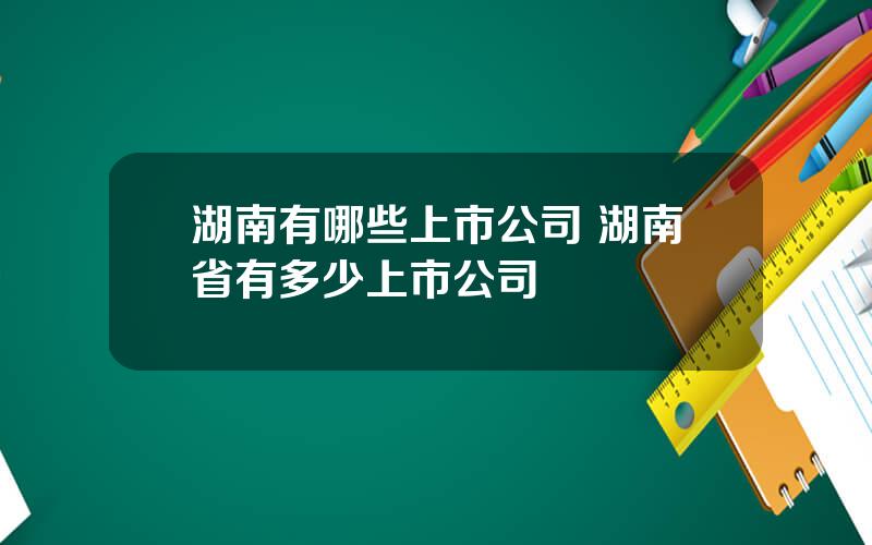 湖南有哪些上市公司 湖南省有多少上市公司